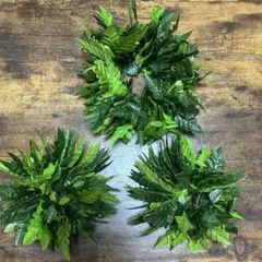 フラダンス　ハワイアン　グリーンヘッドバンド＆ブレスセット　リロ＆スティッチ