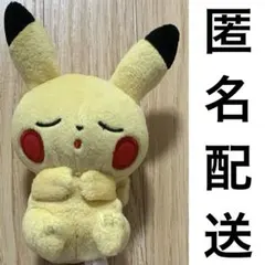 ポケットモンスター　プチぬいぐるみ　モンスターボール　ピカチュウ