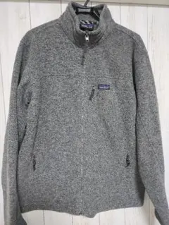 patagonia Synchilla フリースジャケット グレー