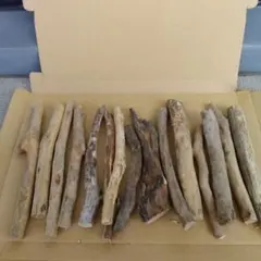 Item thumbnail for item e1b844c4-4932-4b1b-b525-a417b22ad948