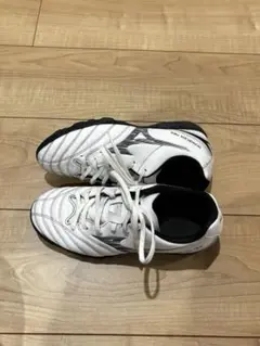 Item thumbnail for item dea156d5-cd2a-479c-bd28-bc58148aeb96