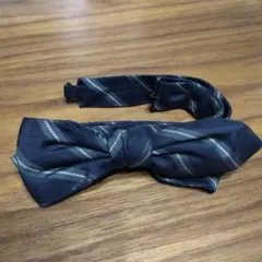 Item thumbnail for item 6612c2f2-9197-4af0-a7b6-83611b7893a2