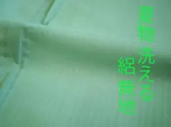 値下げ交渉OK！夏物 S寸 五泉 駒絽 色無地 正絹 F369 - メルカリ