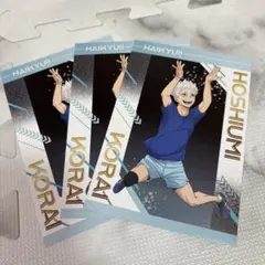 ハイキュー‼︎ ユース・擬似ユース アニメイト特典 ポストカード 星海光来　３枚