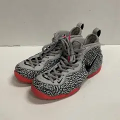 NIKE Air Foamposite Pro 3441