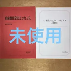 2026年最新】自由英作文のエッセンスの人気アイテム - メルカリ