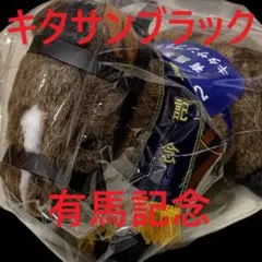 サトノクラウン アイドルホース 競馬 ぬいぐるみ AVANTI ウマ娘 新品C4