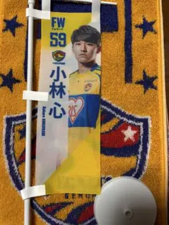 Item thumbnail for item 92e03e3e-e6d8-42bd-9d9d-cb0fdf1a6e2b