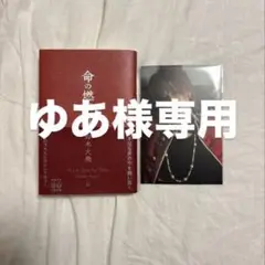 命の燃やし方 鈴木大翔 ポストカード付き
