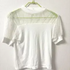 Item thumbnail for item 02ee1a1a-8fd9-4e0d-841d-768582bcd284