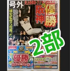 阪神タイガース　2025年　優勝　サンスポ　　号外　２部　藤川球児