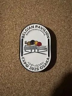 大阪•関西万博2025　アイルランド館　非売品ピンバッジ　ステッカー 万博 アイルランド ピンバッジ 非売品 レア 貴重 2025