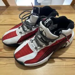 バスケットシューズ　24cm Jordan Jumpman NIKE