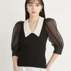 最終値下げSNIDEL Sustainableシアーシャツドッキングプルオーバー
