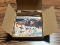 プロセカ 花里みのり ノーブルアートコレクション vol.66