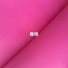 専用ページ