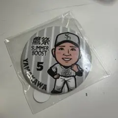 ♡新品♡ホークス 山川穂高選手鷹祭缶バッジ - メルカリ
