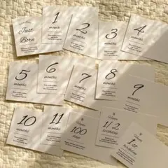 Item thumbnail for item 13dbb193-04b5-423b-984c-d502500ab67d