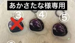 あかさたな様専用