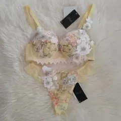 2025年最新】サルート ブラジャーショーツ(セットアップ)の人気