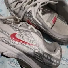 Nike ランニングシューズ シルバー