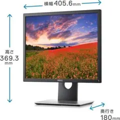Dell デル 液晶モニター P1917S ケーブル付き 動作確認済み 2台 DELL(デル) プロフェッショナルシリーズ 19インチスクエア液晶