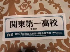 Item thumbnail for item 8ee1fc19-e97d-40f2-a7c8-ddfb8294bcf7