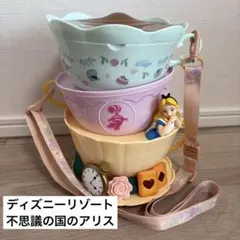 ディズニー⭐︎ポップコーンバケット（不思議の国のアリス）