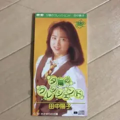 田中陽子選手　直筆サイン入り　ミニサッカーボール 白×緑 田中陽子選手 直筆サイン入り ミニサッカーボール 白×緑 田中