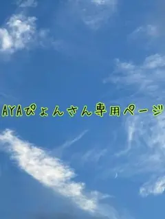 AYAぴょんさん専用ページ