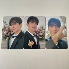 seventeen ドギョム トレカ