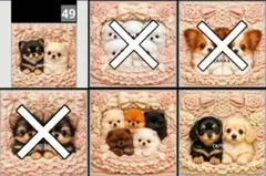 【49】CK様パネル　わんこ