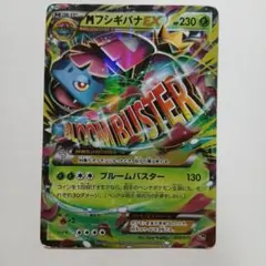2026年最新】フシギバナex 20thの人気アイテム - メルカリ