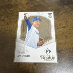 Item thumbnail for item 78a62016-0a8a-44fa-93c7-6f082413e506