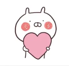 KIRAKIRA☆様 リクエスト 2点 まとめ商品