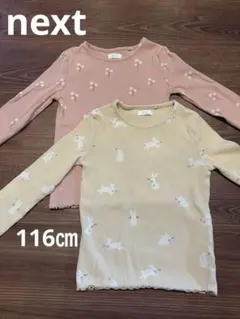 next 長袖 カットソー 2枚セット 5-6y 116cm うさぎ 花柄
