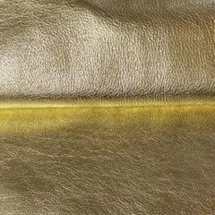 Item thumbnail for item 4f7f078b-74a4-445c-a195-a54471c1c07f