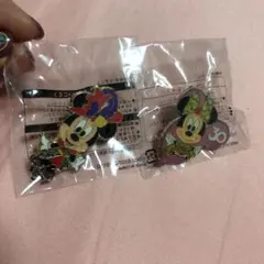 ディズニー ピンバッチ ピンバッジ 2個セット