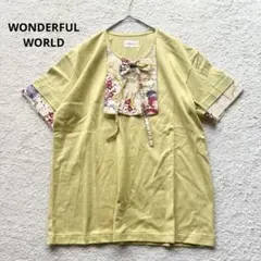 ワンダフルワールド 和柄 花柄 リボン Tシャツカットソー 綿 洗える 未使用級のサムネイル
