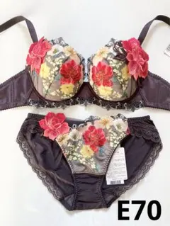 2026年最新】e70 サルートの人気アイテム - メルカリ