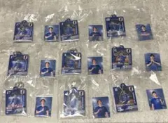 ⭐️全25種⭐️サッカー 日本代表 2022年 缶バッジ SAMURAI BLUE