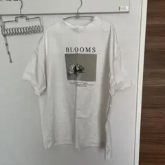 AMERICAN HOLIC BLOOMS Tシャツ ホワイト Lサイズ