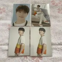 HOME 2022 ディノ　4枚セット