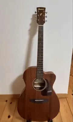 2026年最新】ibanez ハードケースの人気アイテム - メルカリ