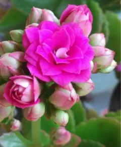 新商品4枚セットボクサーパンツ メンズ 下着 通気 吸汗速乾 抗菌防臭加工