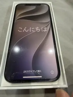 Apple iPhone 12 本体