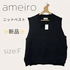 新品✨aneiro アメイロ ニットベスト Vネック 黒 ブラック フリー