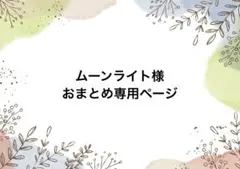 ムーンライト様 リクエスト 3点 まとめ商品