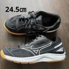 Mizuno バレーボールシューズ 24.5cm ブラック　ジュニア男の子キッズ