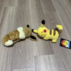 ピカチュウとイーブイのぬいぐるみセット